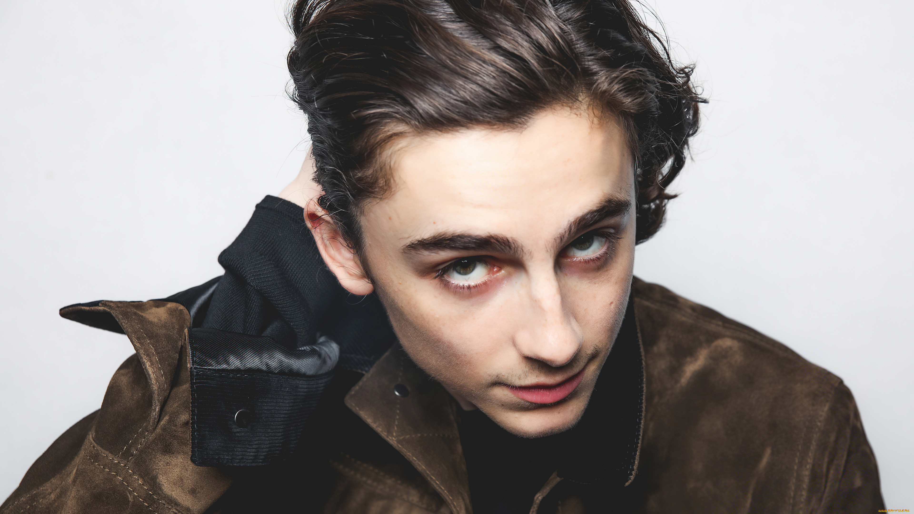 , timothee chalamet, , , e, , e, , , , , , bafta, , , , , , , , , , 